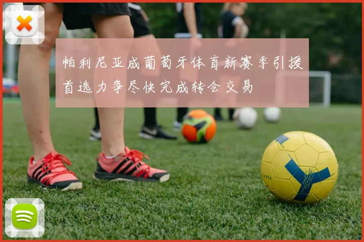 帕利尼亚成葡萄牙体育新赛季引援首选力争尽快完成转会交易