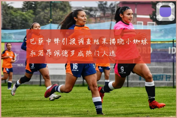 巴萨中锋引援调查结果揭晓小蜘蛛和若昂佩德罗成热门人选