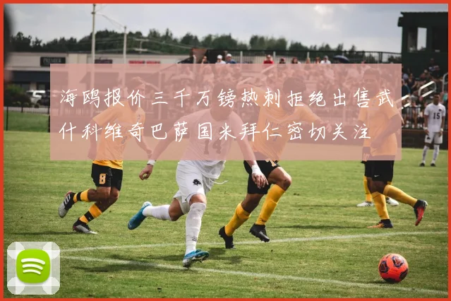 海鸥报价三千万镑热刺拒绝出售武什科维奇巴萨国米拜仁密切关注
